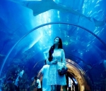 Mampir ke Aquarium & Underwater Zoo