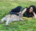 Tak Takut dengan Kanguru