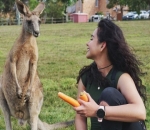  Bermain Bersama Kanguru