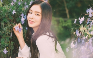 Bagikan Foto Ini Irene Red Velvet Banjir Pujian