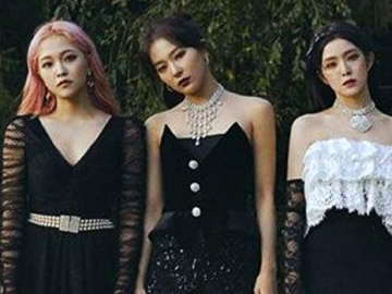 Abadikan Penampilan Red Velvet di 'Dream Concert-CONNECT:D', Dispatch Kena Semprot Netter