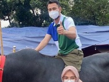   Super Sultan, Raffi Ahmad Kurban Sapi Khusus dari Gunung Kidul Seberat 1,4 Ton