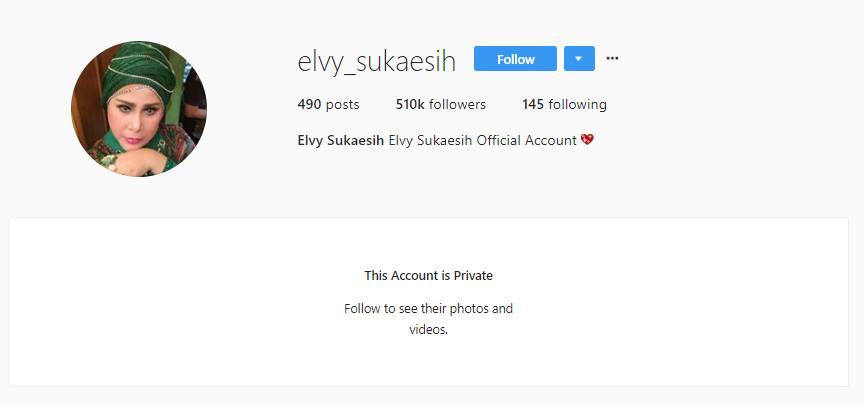 Elvy Sukaesih Private Instagram