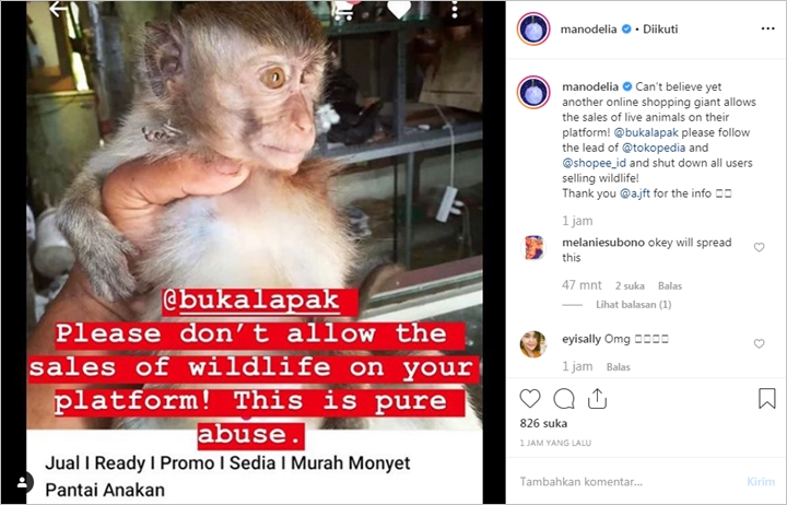 Posting Foto Monyet di Instagram, Manohara Kritik E-Commerce Jual Satwa Liar Hidup